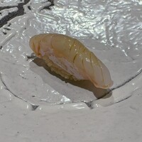 鮨 やま田 - 