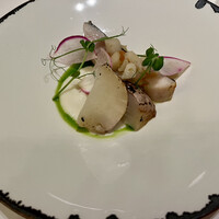 Noeud.×THE CHEF'S - 