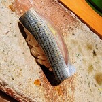 匠 進吾 - コハダ