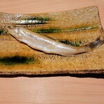 匠 進吾 - 本ししゃも