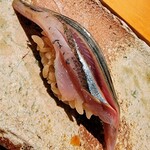 匠 進吾 - サンマ