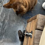 スターバックスコーヒー - 