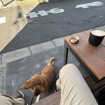 スターバックスコーヒー - 