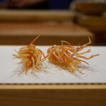 Tempura Miyashiro - 