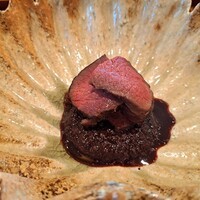 日本料理 別府 廣門 - 