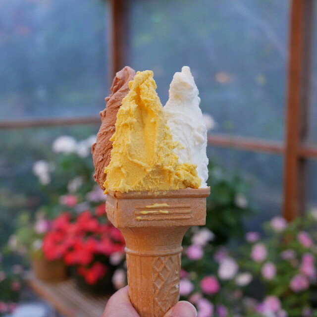 gelateria popolo., Niigata, Japan
