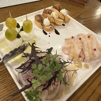 ブラチェリア バーヴァ -  ブラチェリア バーヴァ -