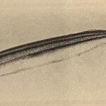 一期一会 よねさん - 