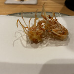 Tempura Shinagawa - 