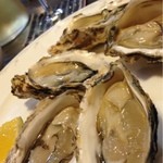 清加和 - 的矢の牡蠣