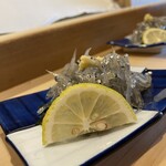 Kamakura Kohana Sushi - 朝どれシラス
                        今日は大ぶりだが絶品