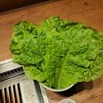 焼肉うしごろ - 追加のサンチュ6枚です。