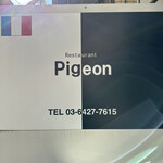 Pigeon - 