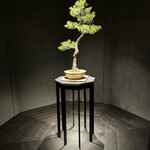 #肉といえば松田 奈良本店 - 