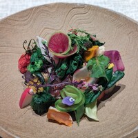 ヒカリヤ ニシ - 