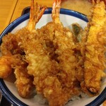 Tendon Tenya - 