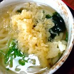 金比羅うどん - 