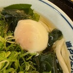 瀬戸うどん - 