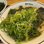 瀬戸うどん - 