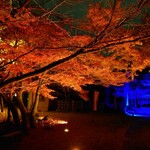 肉料理ふくなが - 