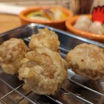 Hone Tsukitori Karaage Haibo-Ru Ga Buri Chikin - 