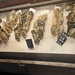 Oyster Bar MABUI - 