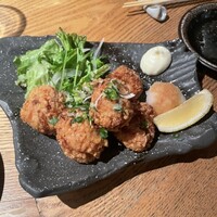 KOiBUMi - 
