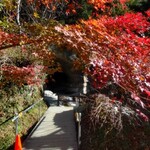 山の駅 養老渓谷 喜楽里 - 