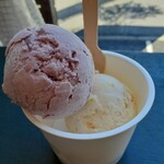 Hilo Homemade Ice Cream - 