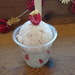 Hilo Homemade Ice Cream - 