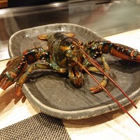 京風鉄板 はせ川 - オマール海老ちゃん