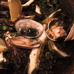 ラクッチーナ ペペ - 