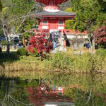 膳處漢ぽっちり - 2013/11 大覚寺