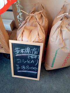 古知堂cafe 千の春 - 