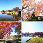 嵐 - 越谷市の日本庭園、花田苑
            紅葉の感じ