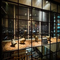 Benoit Alain Ducasse - 