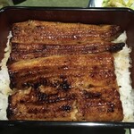 Unagi Fujita - 