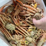 越前かにの宿もりや、下森商店 - 料理写真: