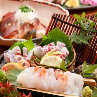 産地直送の旬の鮮魚や、高級ブランド"果実魚"をご提供。