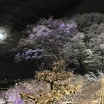 辻家庭園 - 