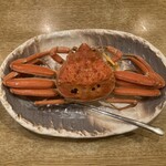 春のお店 - セイ甲カニ　※越前がに