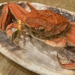 春のお店 - セイ甲カニ　※越前がに