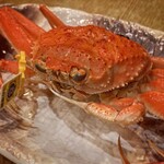 春のお店 - Instagram #tetsuyaohue