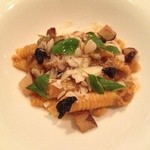 ビオディナミコ - 11月