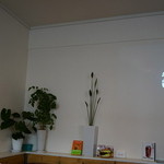 チンズバーガーマーケット - 