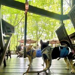 レストラン ペニーレイン - 