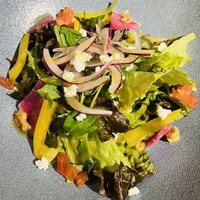 焼肉ここのみ - 豪華なサラダ。