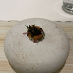 レミニセンス - 