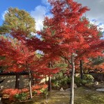 Nishi - 高台寺の紅葉