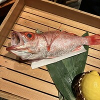のどぐろ専門 銀座中俣 はなれ - 